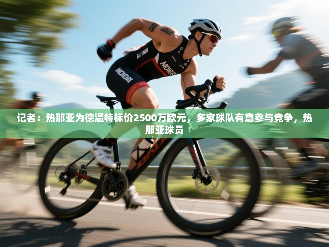 记者:热那亚为德温特标价2500万欧元,多家球队有意参与竞争,热那亚球员 第2张