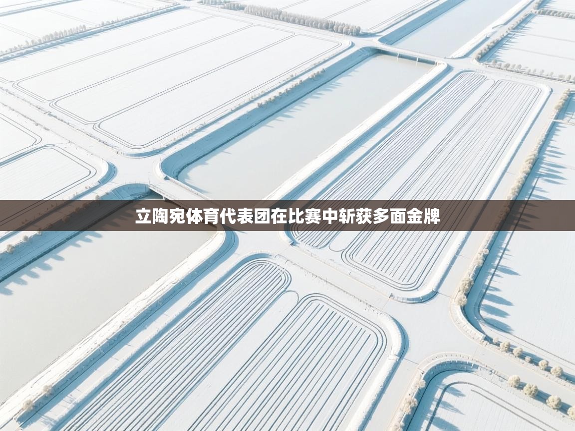 立陶宛体育代表团在比赛中斩获多面金牌