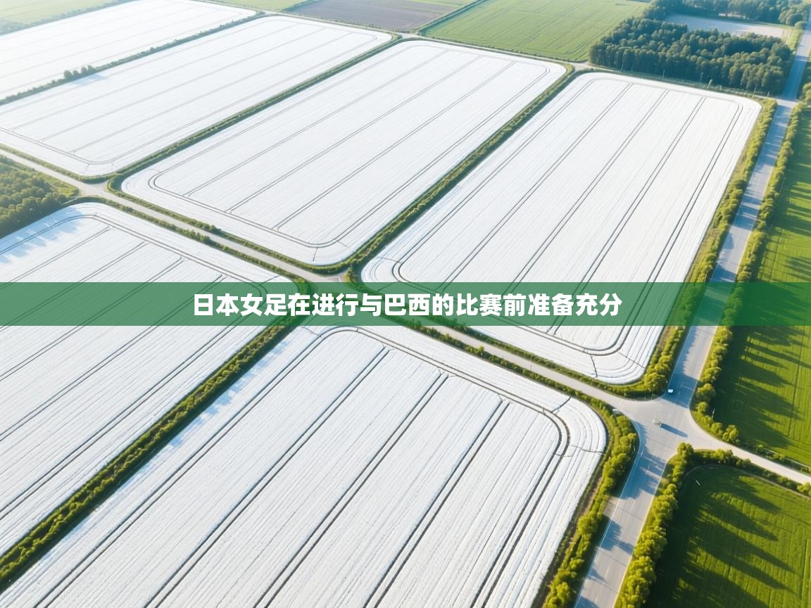 日本女足在进行与巴西的比赛前准备充分